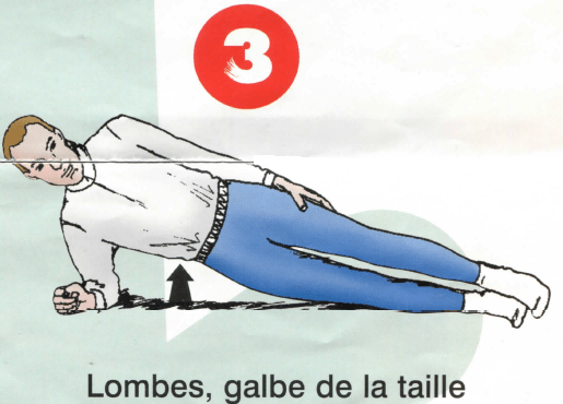 Dorso-lombaires - Exercice 3