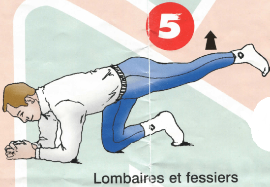 Dorso-lombaires - Exercice 5