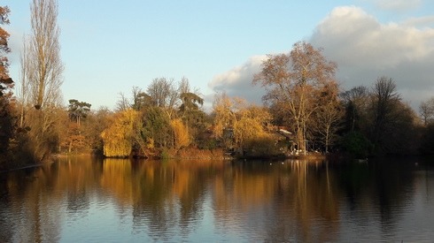 Bois de Vincennes, lac des Minimes, e, automne