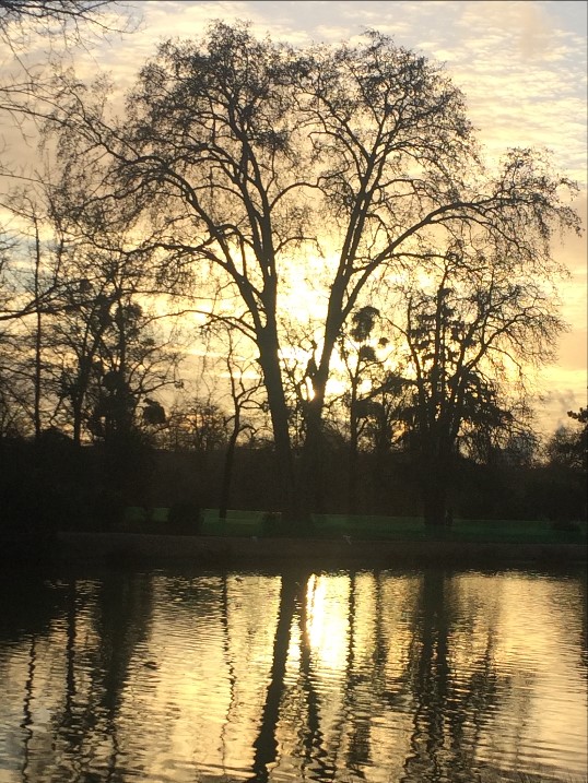 Lac Daumesnil, soir d'hiver