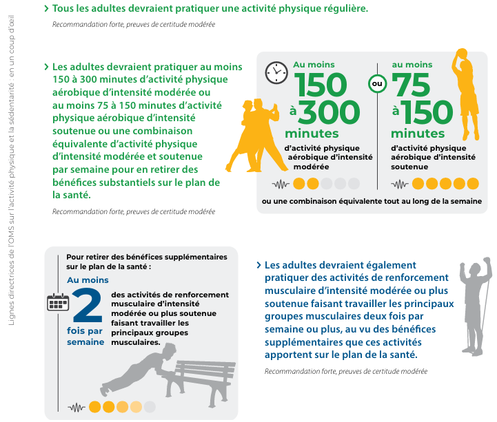 Recommandations de l'OMS en matière d'activité physique