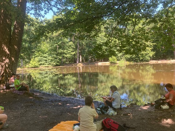 Pic-nic au bord de la mare aux Canes
