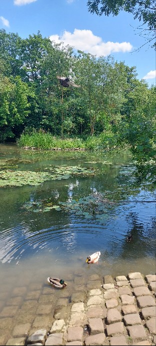Ile Sainte-Catherine