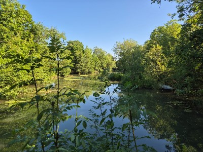 ile ste catherine pierre 1