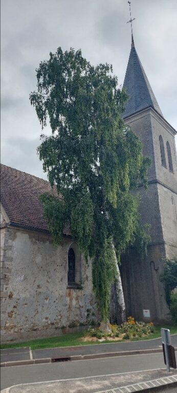 Eglise Saint-Georges