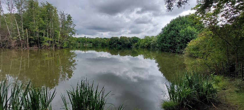 Etang de la Brosse