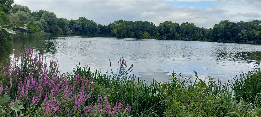 Etang de la Loy