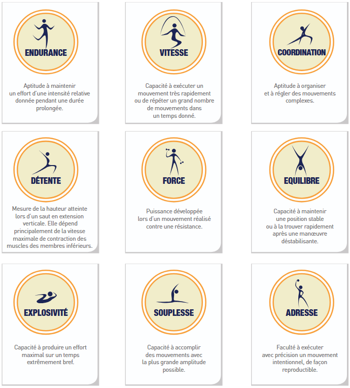 L'endurance et les autres qualités physiques