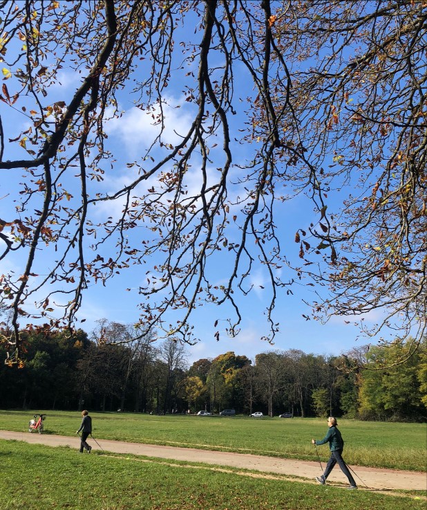 Marche nordique aux Minimes